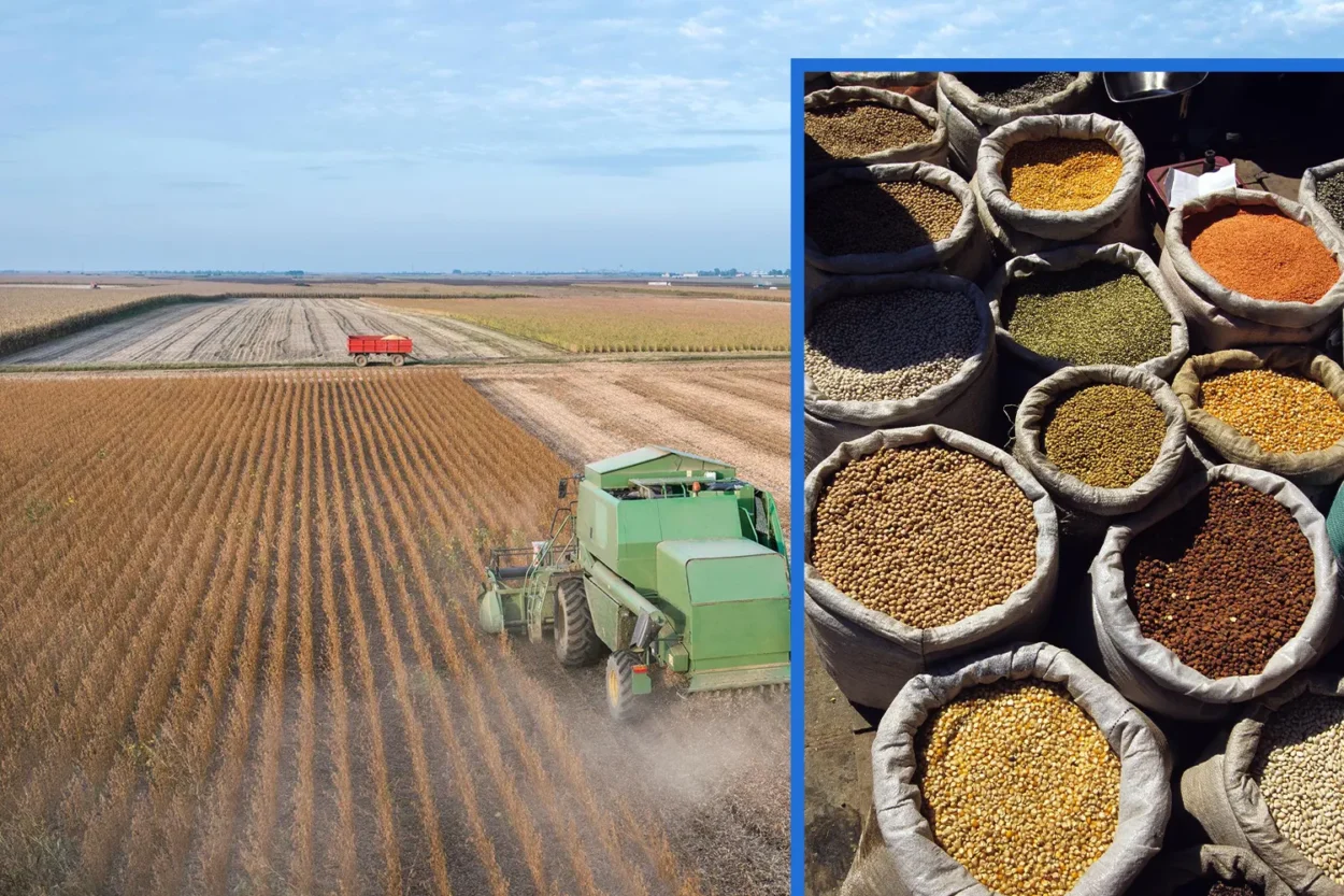 Global Agro Commodity Trading